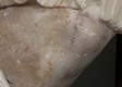 Incut_481_d_315_knee