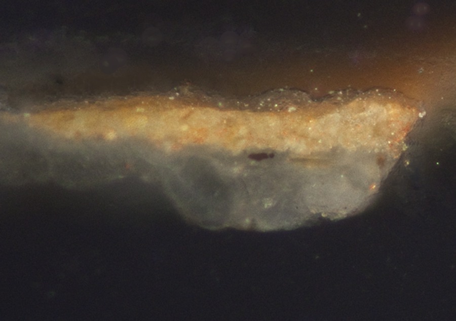 In2815-crosssection_skin_4