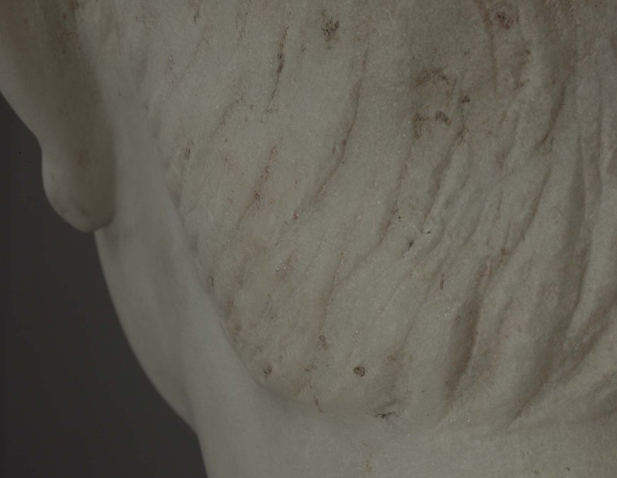 In707_d_180_head