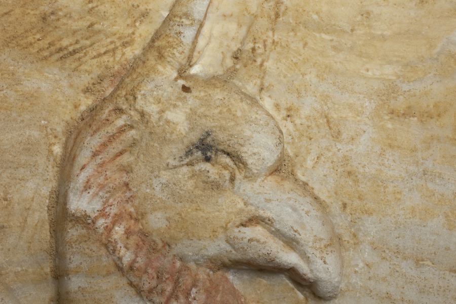Hin60_d_0_sea_monster_