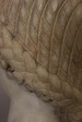In759_d_90_hair_2