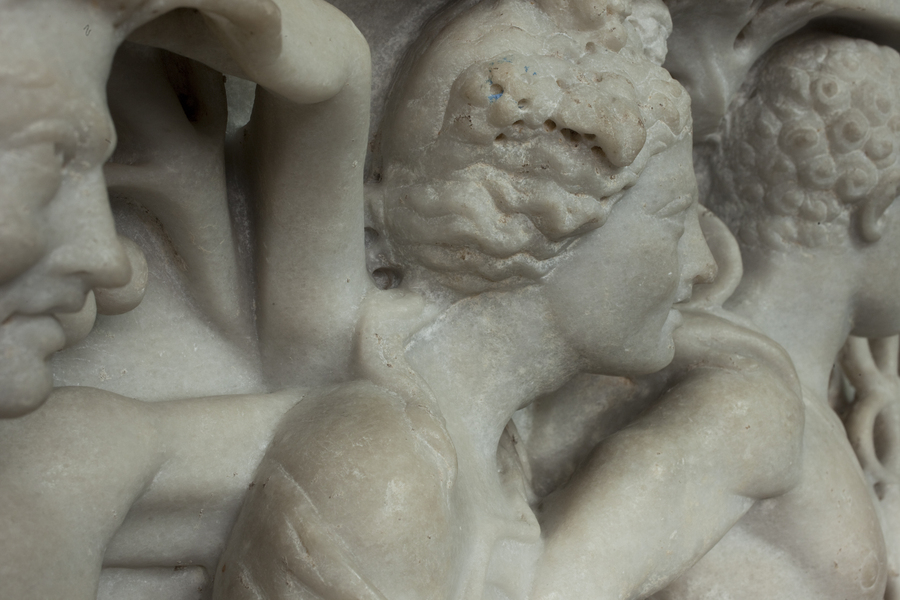 In843_d_315_grapes