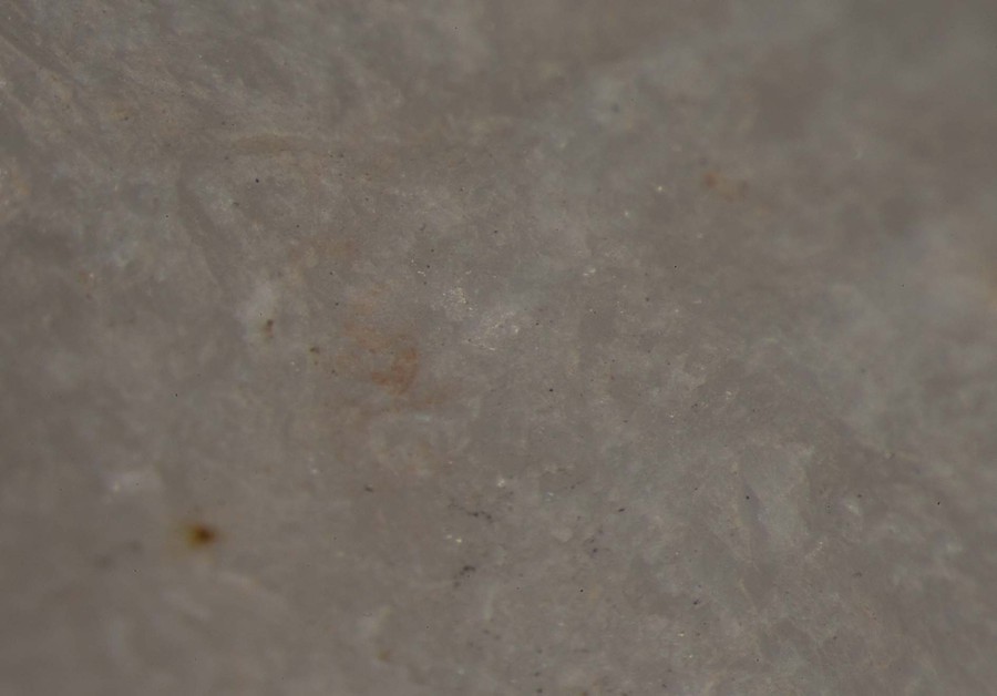 In1438_mi_0_skin_x26